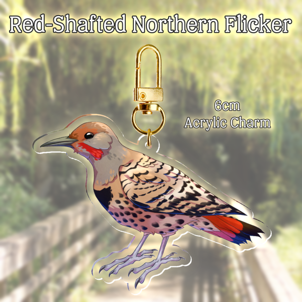 Red-Shafted Northern Flicker Keychain