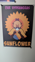 custom product review