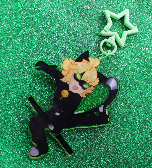 miraculous ladybug | chat noir charm