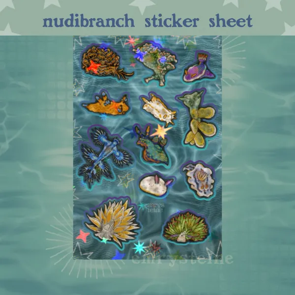 Nudibranch (sea bunnies) | STICKER SHEET