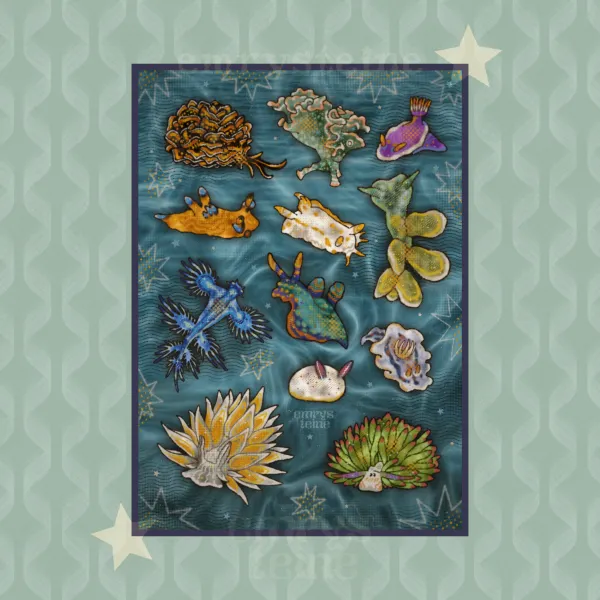 Nudibranch (sea bunnies) | POSTER