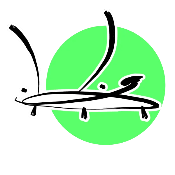 Bug Keychain
