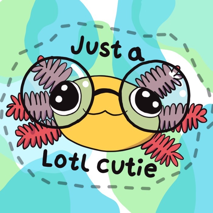 Just a Lotl Cutie