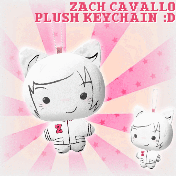 𓍢ִ໋🃏︎. zach cavallo cat plushie !!!