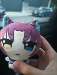 custom product review