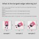 Custom Hot Stamping Foil Standee Size Reference